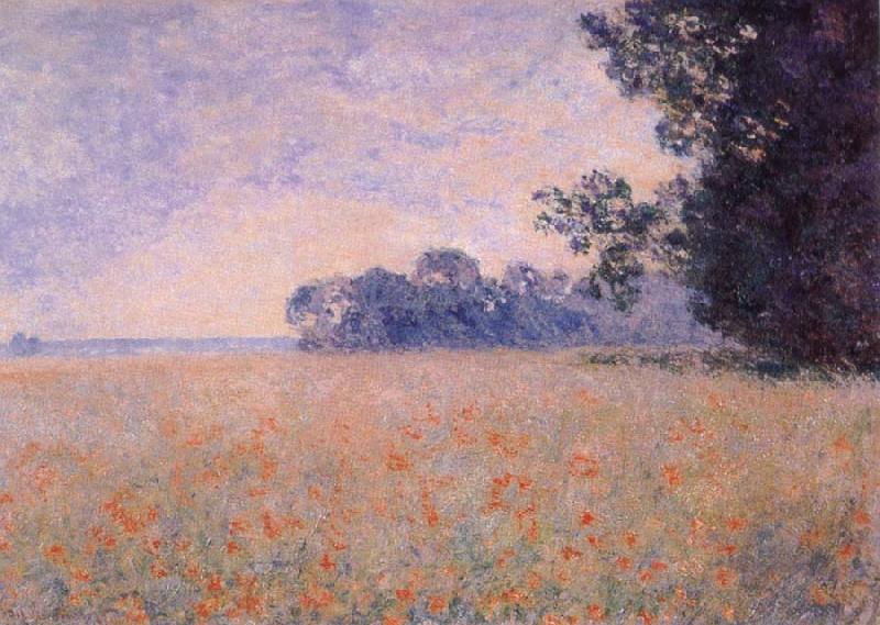 Claude Monet Oat and Poppy Field France oil painting art